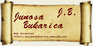 Junoša Bukarica vizit kartica